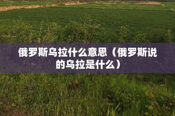 俄罗斯乌拉什么意思（俄罗斯说的乌拉是什么）