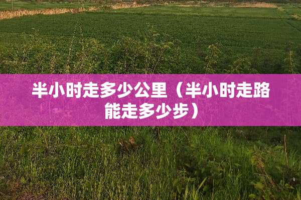 半小时走多少公里（半小时走路能走多少步）