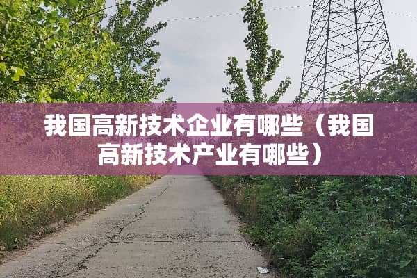 我国高新技术企业有哪些（我国高新技术产业有哪些）