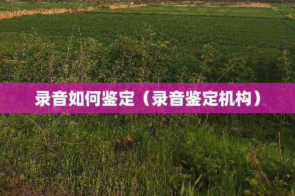 录音如何鉴定（录音鉴定机构）