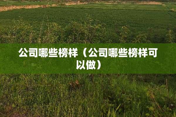 公司哪些榜样（公司哪些榜样可以做）