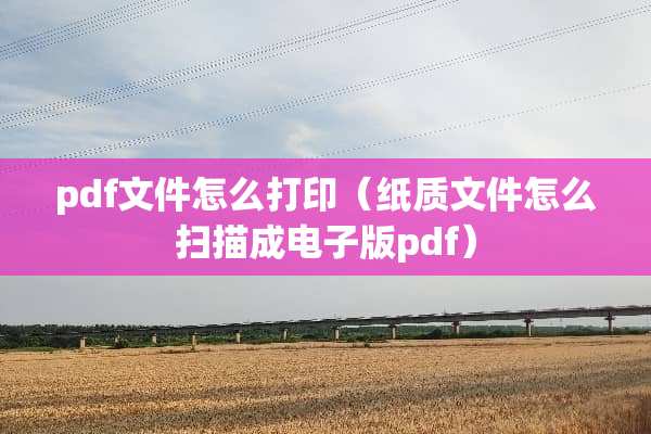 pdf文件怎么打印（纸质文件怎么扫描成电子版pdf）