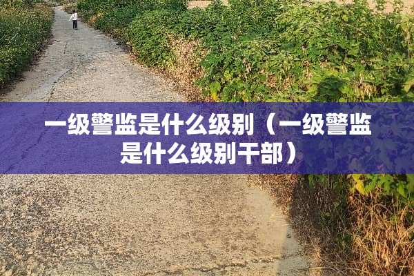 一级警监是什么级别（一级警监是什么级别干部）