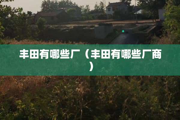 丰田有哪些厂（丰田有哪些厂商）