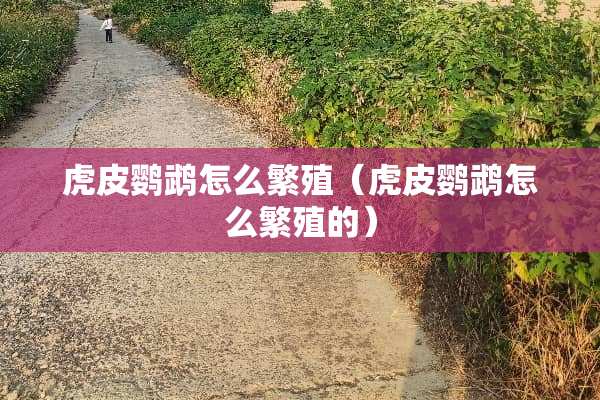 虎皮鹦鹉怎么繁殖（虎皮鹦鹉怎么繁殖的）