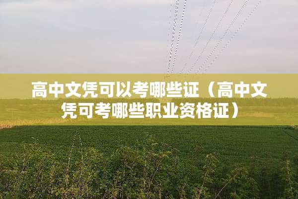 高中文凭可以考哪些证（高中文凭可考哪些职业资格证）