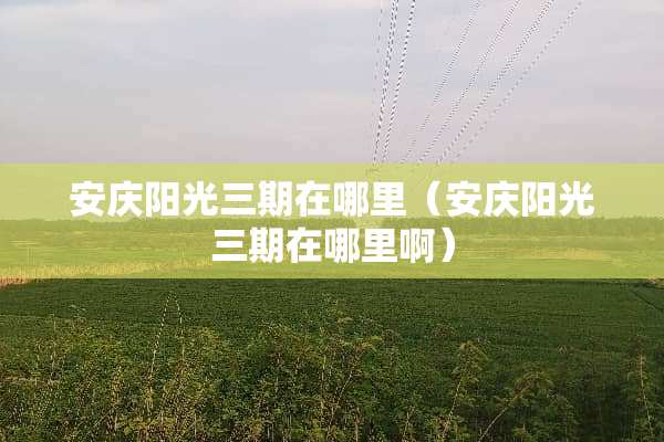 安庆阳光三期在哪里（安庆阳光三期在哪里啊）