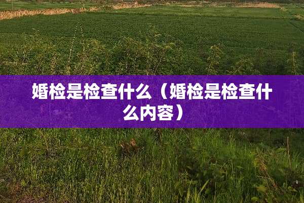 婚检是检查什么（婚检是检查什么内容）