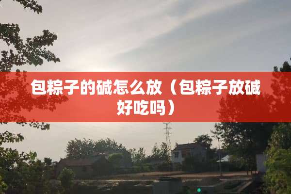 包粽子的碱怎么放（包粽子放碱好吃吗）