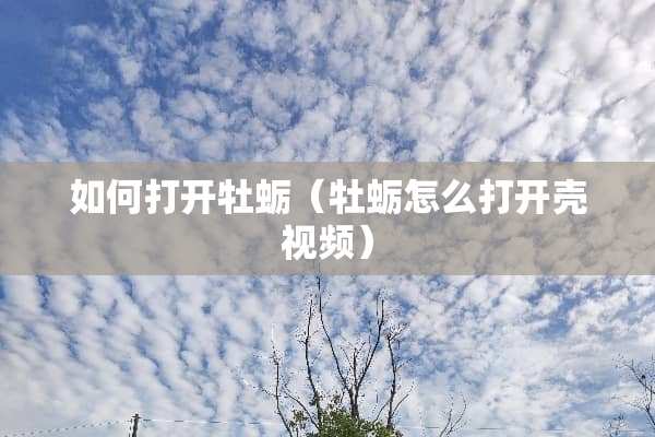 如何打开牡蛎（牡蛎怎么打开壳视频）
