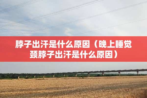脖子出汗是什么原因（晚上睡觉颈脖子出汗是什么原因）