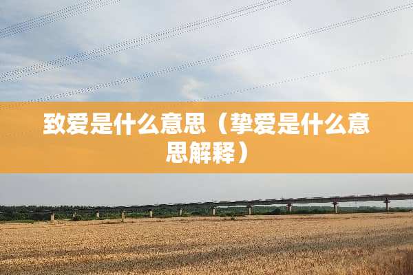 致爱是什么意思（挚爱是什么意思解释）