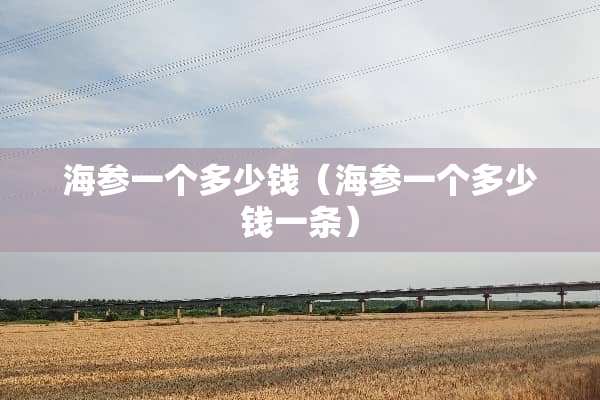 海参一个多少钱（海参一个多少钱一条）