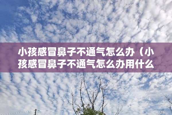 小孩感冒鼻子不通气怎么办（小孩感冒鼻子不通气怎么办用什么药）