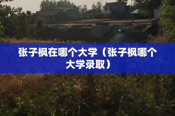 张子枫在哪个大学（张子枫哪个大学录取）
