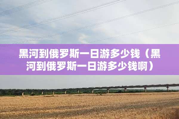 黑河到俄罗斯一日游多少钱（黑河到俄罗斯一日游多少钱啊）