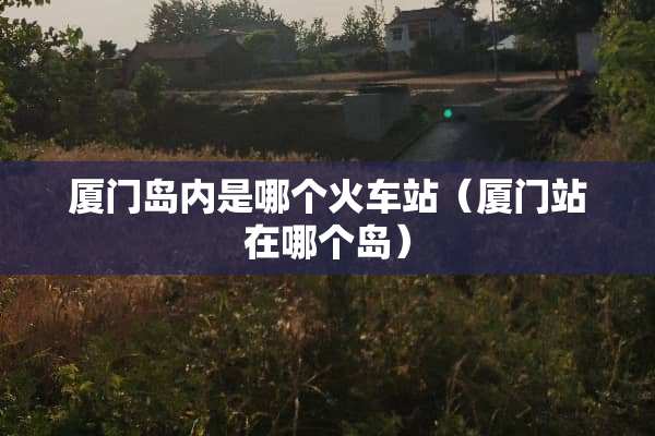 厦门岛内是哪个火车站（厦门站在哪个岛）