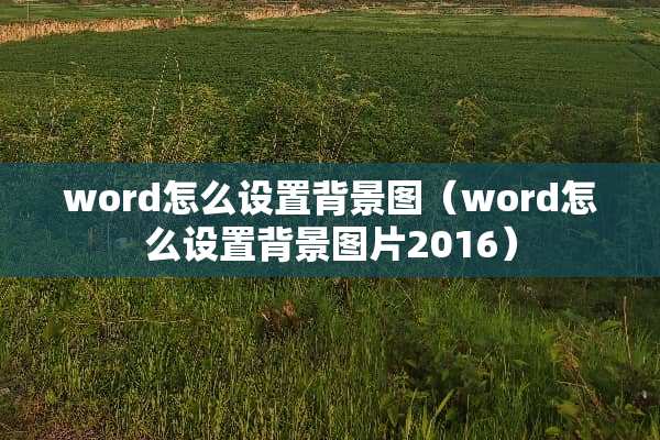 word怎么设置背景图（word怎么设置背景图片2016）