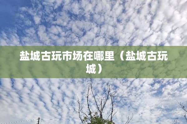 盐城古玩市场在哪里（盐城古玩城）