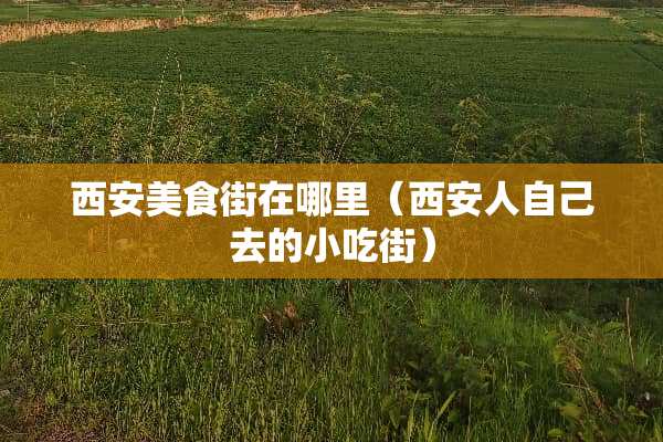 西安美食街在哪里（西安人自己去的小吃街）