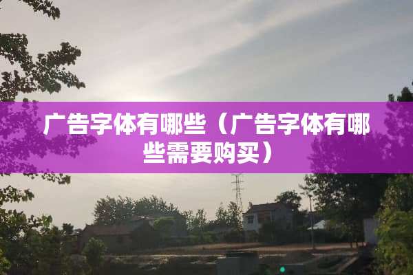 广告字体有哪些（广告字体有哪些需要购买）
