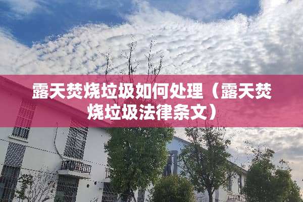 露天焚烧垃圾如何处理（露天焚烧垃圾法律条文）