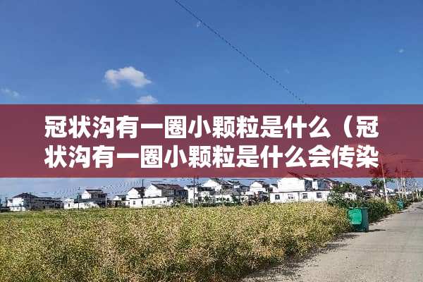 冠状沟有一圈小颗粒是什么（冠状沟有一圈小颗粒是什么会传染吗）