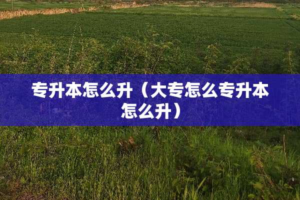 专升本怎么升（大专怎么专升本怎么升）