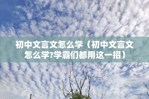 初中文言文怎么学（初中文言文怎么学?学霸们都用这一招）