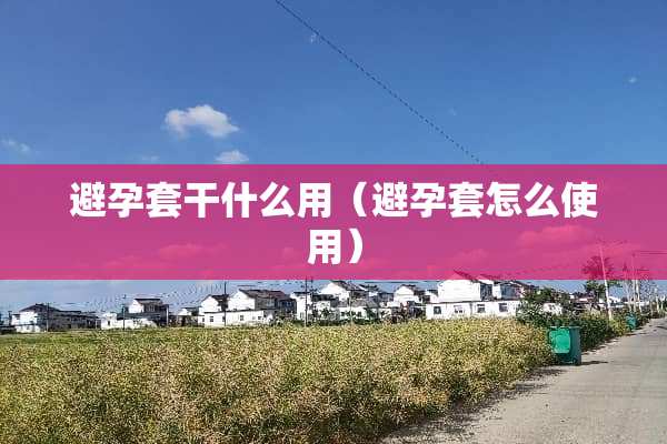 ***干什么用（***怎么使用）