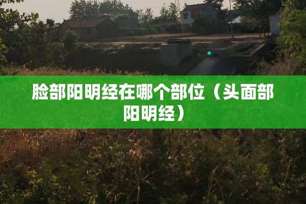 脸部阳明经在哪个部位（头面部阳明经）