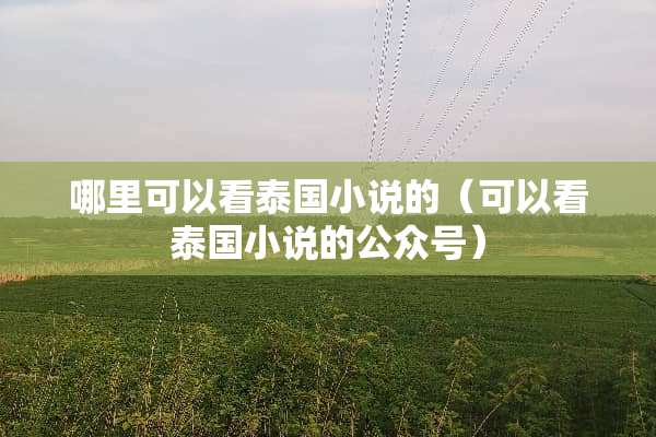 哪里可以看泰国小说的（可以看泰国小说的公众号）