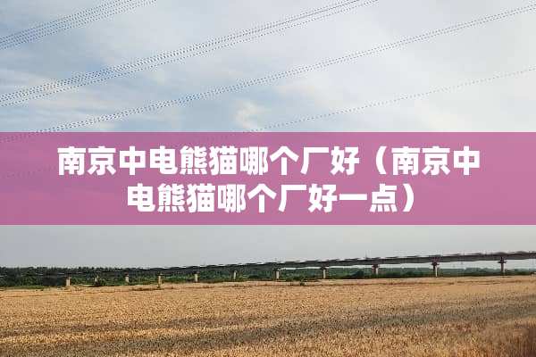 南京中电熊猫哪个厂好（南京中电熊猫哪个厂好一点）