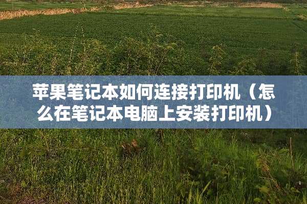 苹果笔记本如何连接打印机（怎么在笔记本电脑上安装打印机）