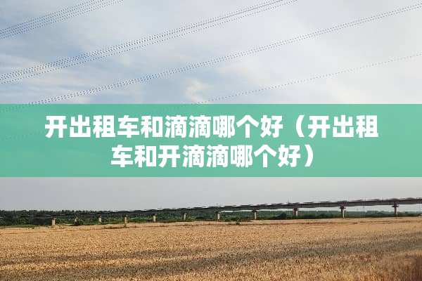 开出租车和滴滴哪个好（开出租车和开滴滴哪个好）