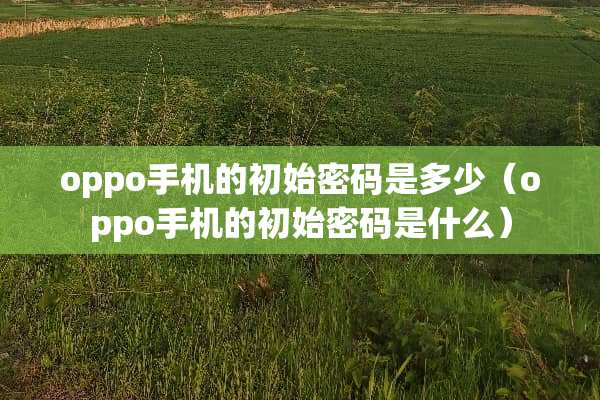 oppo手机的初始密码是多少（oppo手机的初始密码是什么）