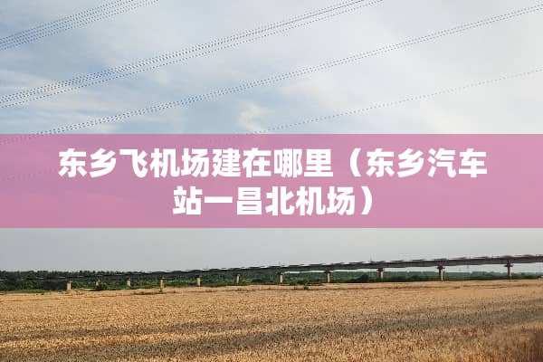 东乡飞机场建在哪里（东乡汽车站一昌北机场）