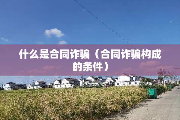 什么是合同**（合同**构成的条件）