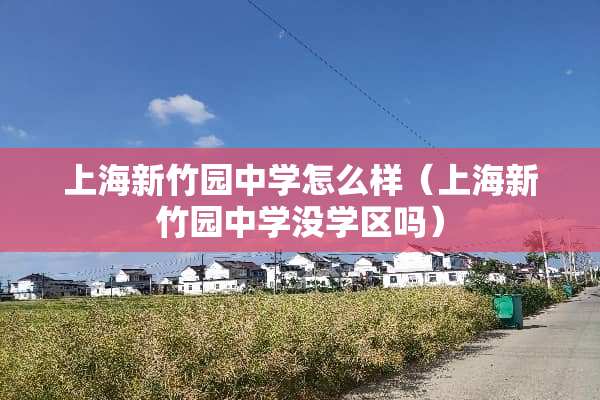 上海新竹园中学怎么样（上海新竹园中学没学区吗）