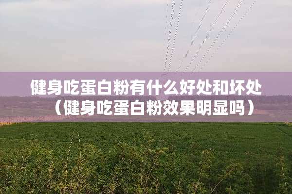 健身吃蛋**有什么好处和坏处（健身吃蛋**效果明显吗）