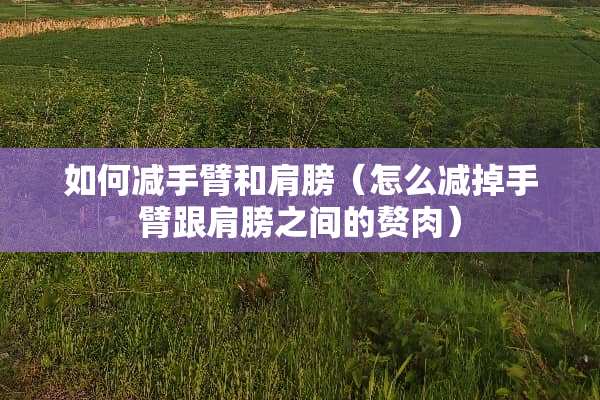 如何减手臂和肩膀（怎么减掉手臂跟肩膀之间的赘肉）