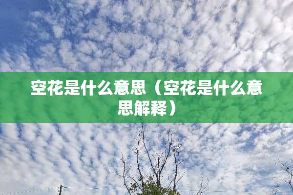 空花是什么意思（空花是什么意思解释）