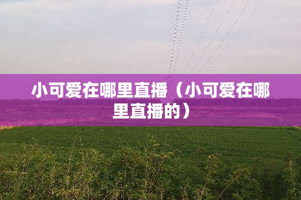 小可爱在哪里直播（小可爱在哪里直播的）