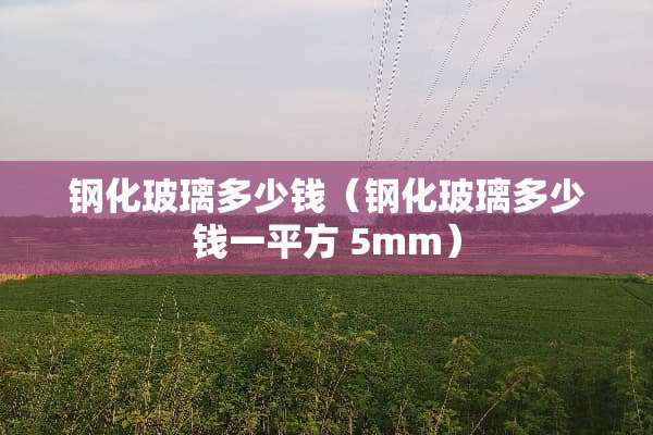 钢化玻璃多少钱（钢化玻璃多少钱一平方 5mm）
