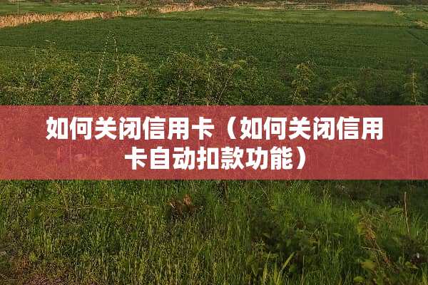 如何关闭***（如何关闭***自动扣款功能）