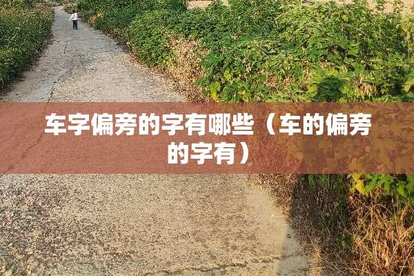 车字偏旁的字有哪些（车的偏旁的字有）
