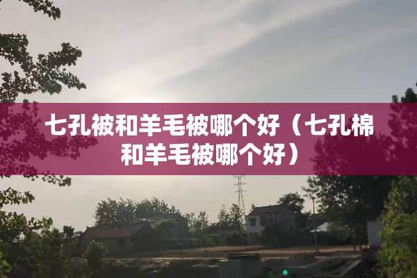 七孔被和羊毛被哪个好（七孔棉和羊毛被哪个好）