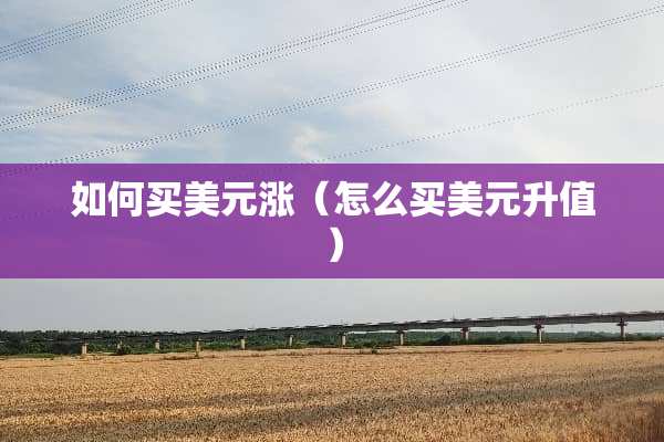 如何买美元涨（怎么买美元升值）