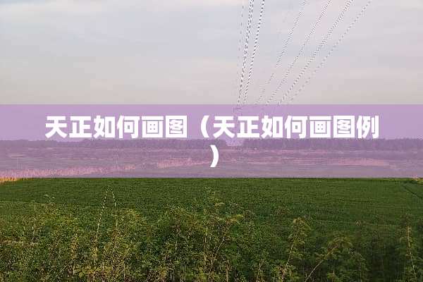 天正如何画图（天正如何画图例）