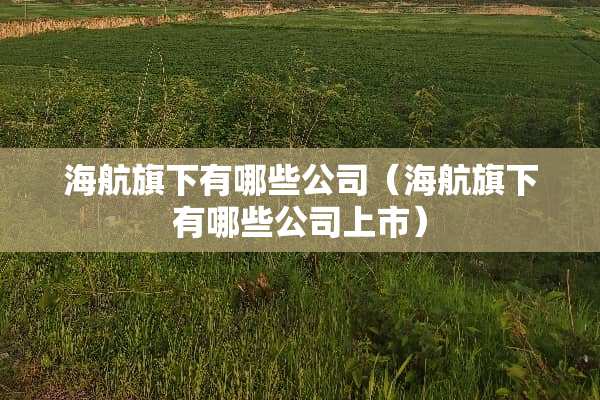 海航旗下有哪些公司（海航旗下有哪些公司上市）